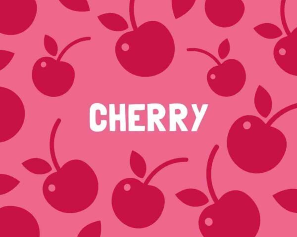 Slab Artisan Fudge - Cherry Flavour Graphic