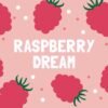 Slab Artisan Fudge - Vegan Raspberry Dream Flavour Graphic