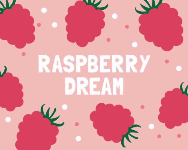 Slab Artisan Fudge - Vegan Raspberry Dream Flavour Graphic